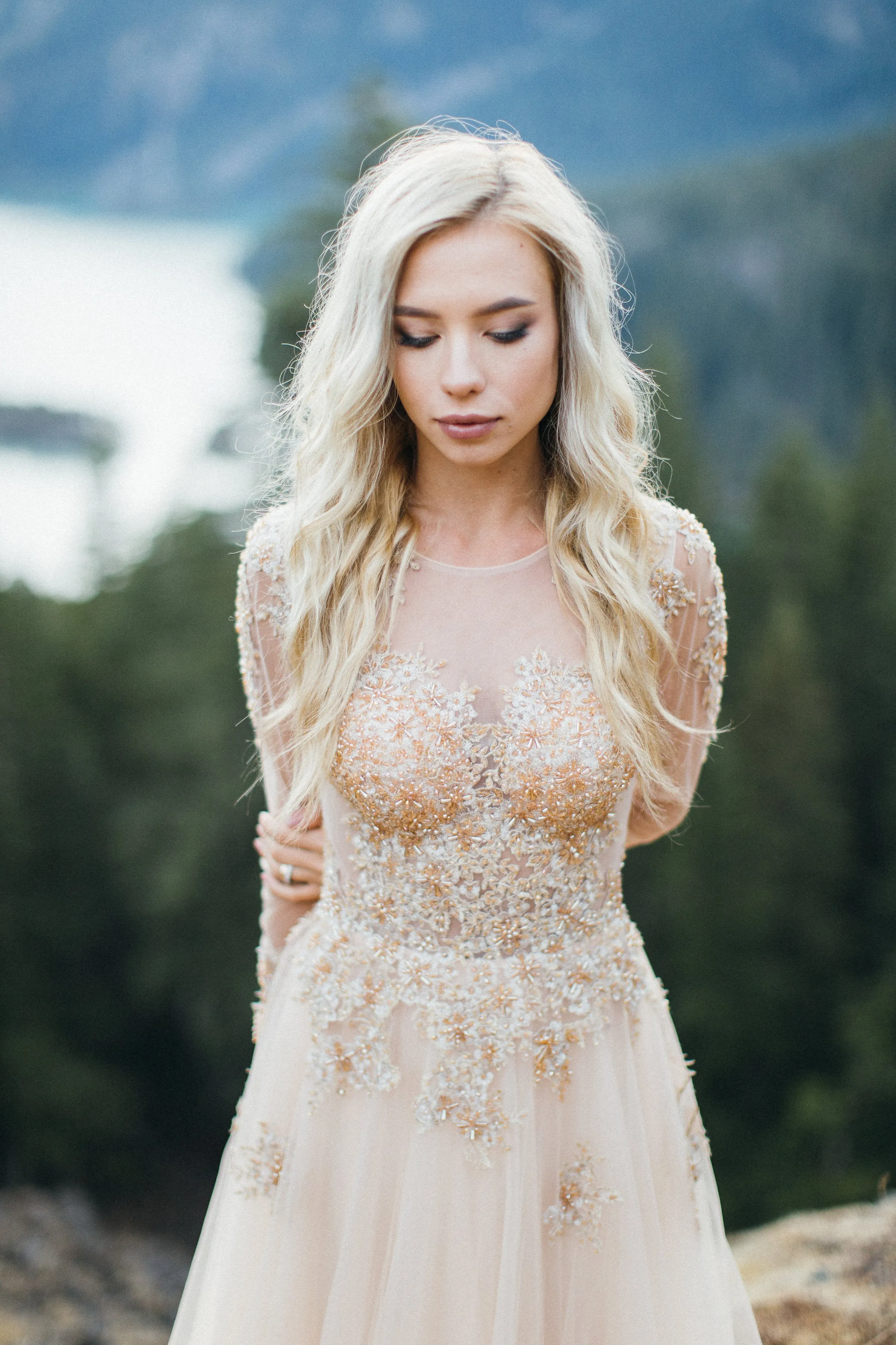 Champagne/Gold Long Sleeve Princess A-Line Gown (# ARIEL)