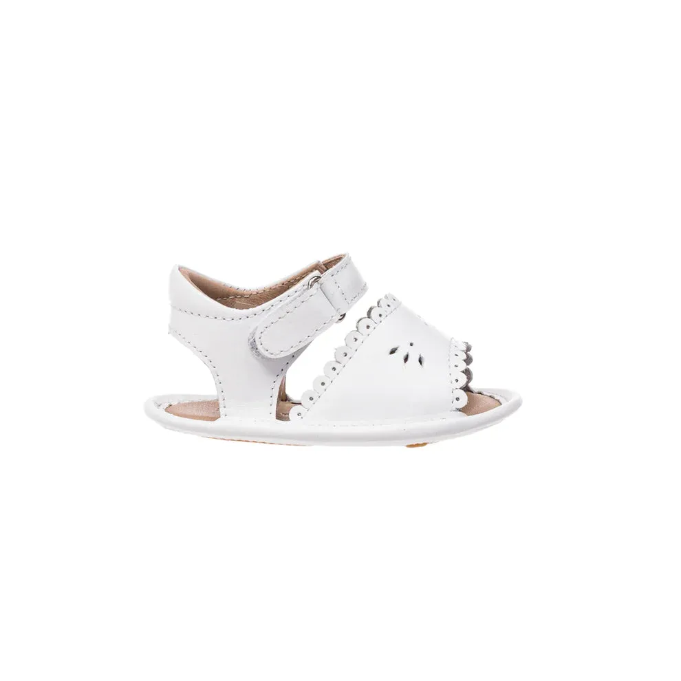 Elephantito Baby Sandal w/ Scallop