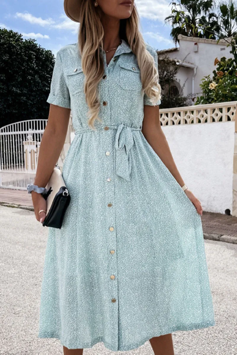 Fashion Street Print Frenulum Turndown Collar A Line Dresses(3 Colors)