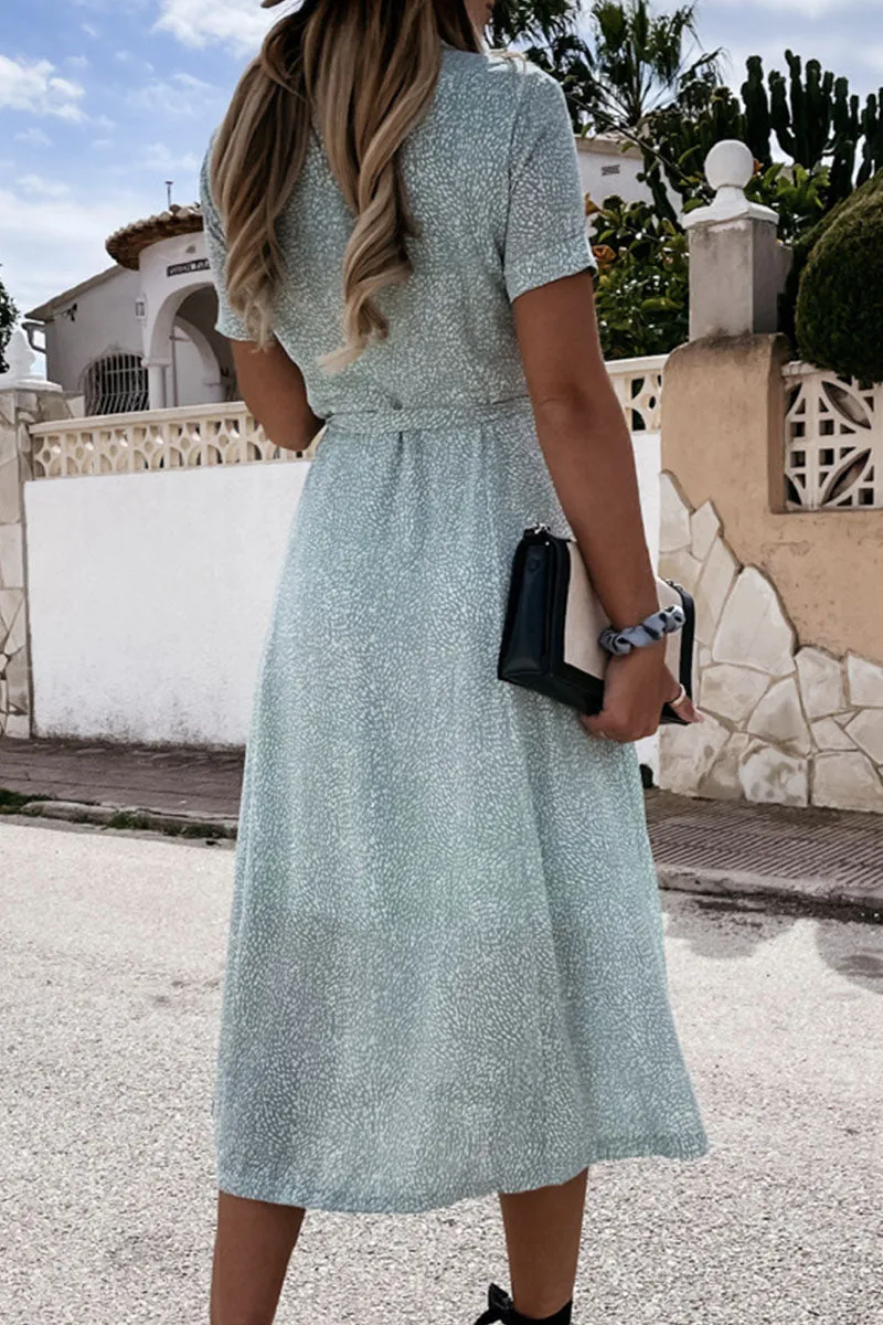 Fashion Street Print Frenulum Turndown Collar A Line Dresses(3 Colors)