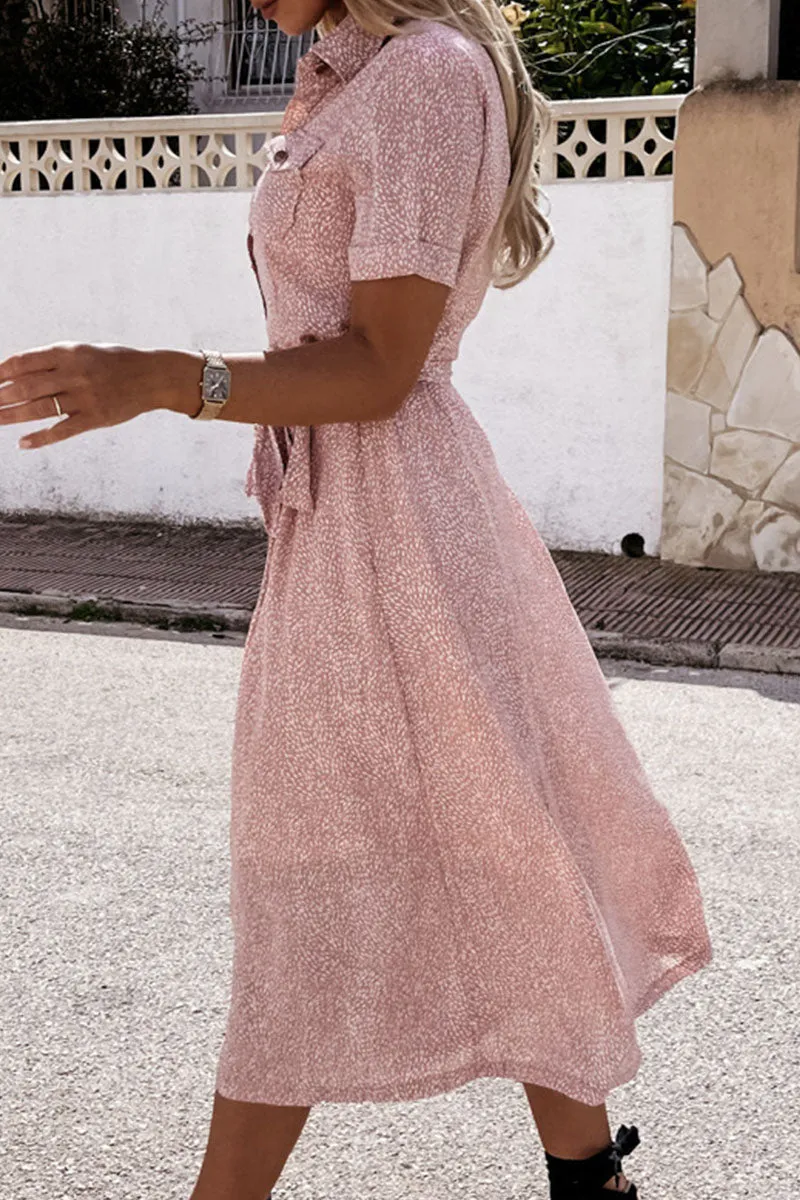 Fashion Street Print Frenulum Turndown Collar A Line Dresses(3 Colors)