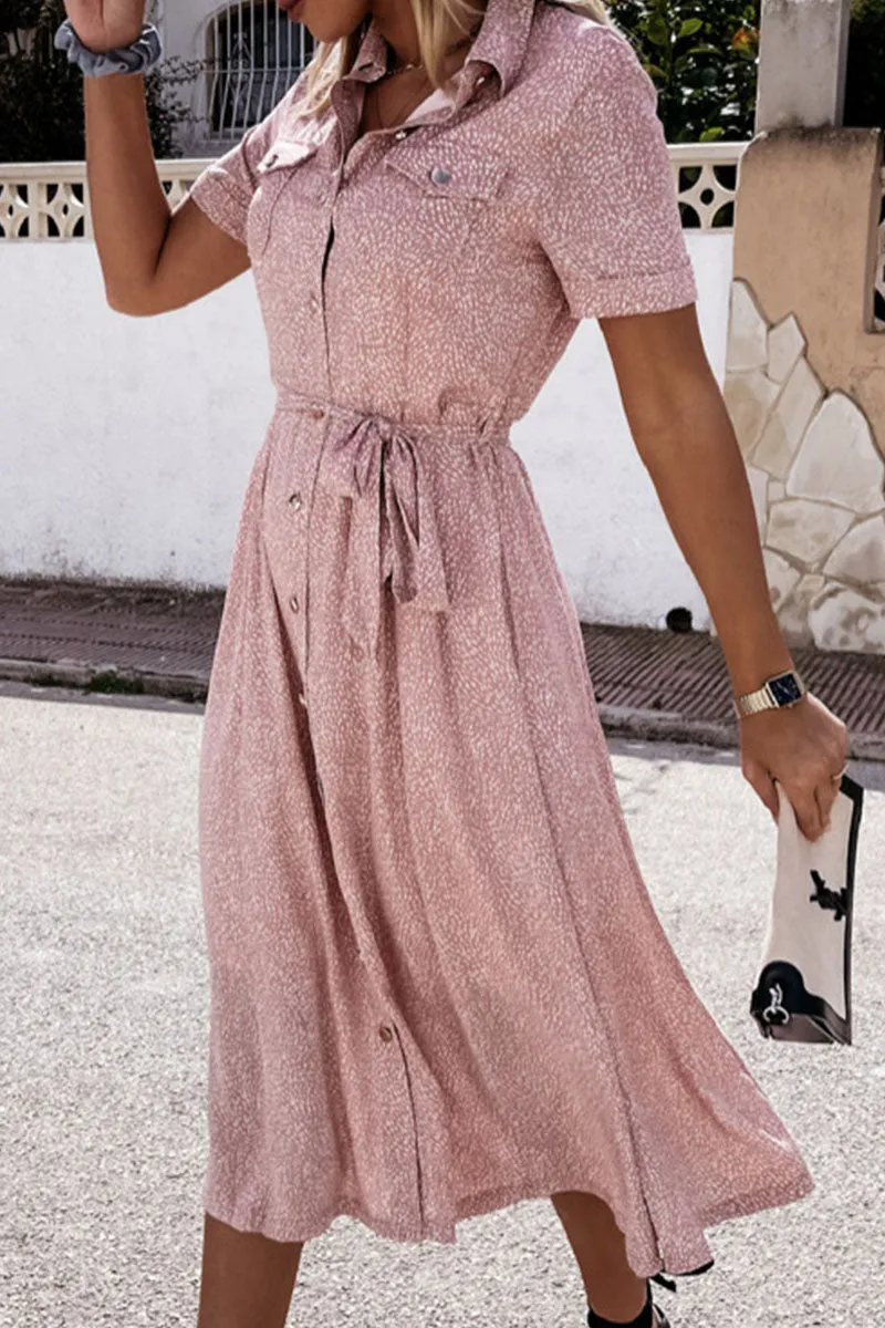 Fashion Street Print Frenulum Turndown Collar A Line Dresses(3 Colors)