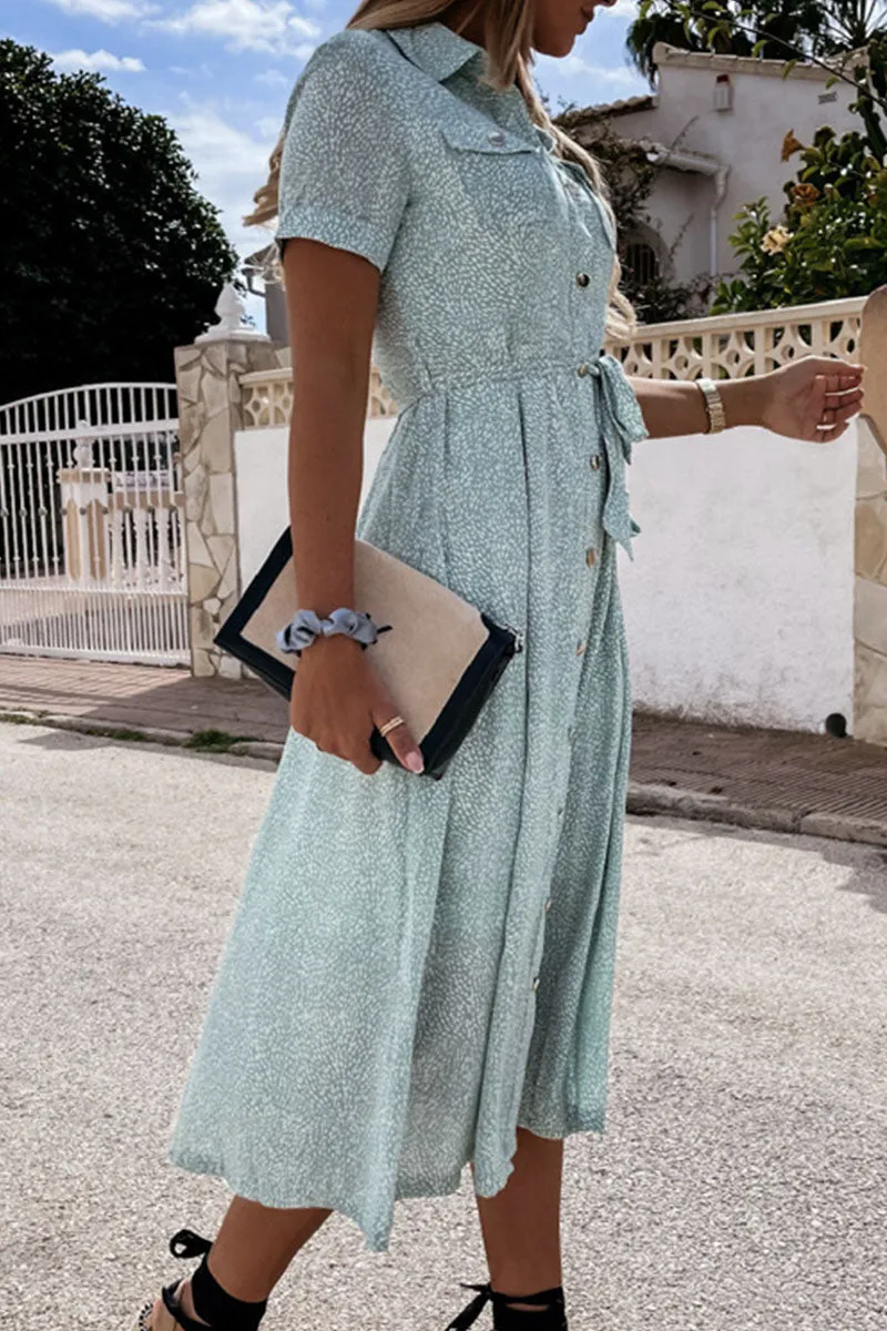 Fashion Street Print Frenulum Turndown Collar A Line Dresses(3 Colors)