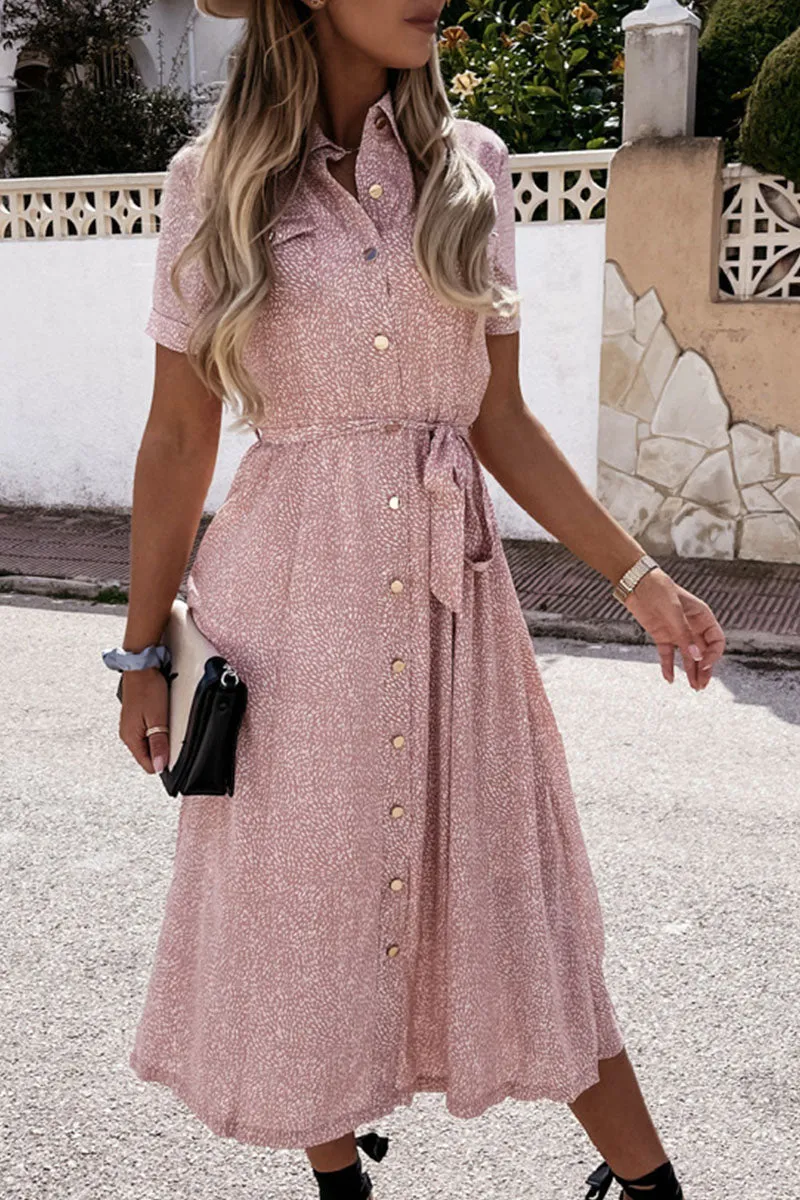 Fashion Street Print Frenulum Turndown Collar A Line Dresses(3 Colors)