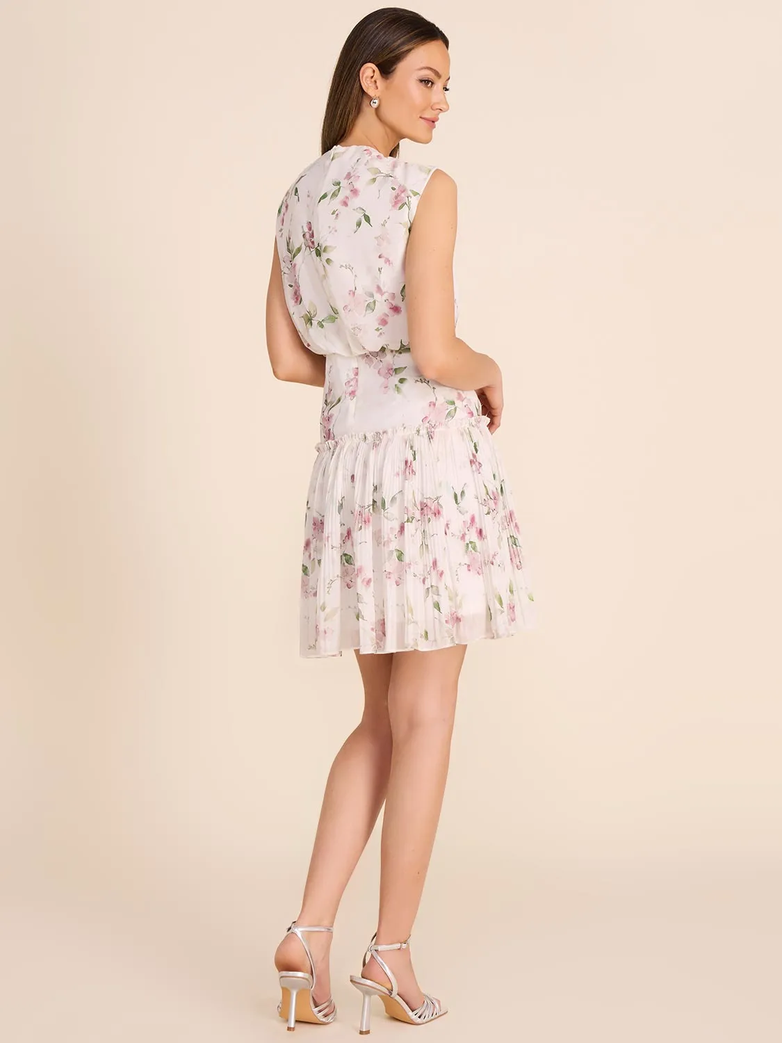 Floral Chiffon A-Line Dress