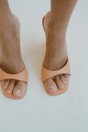 LIDO WEDGE, ORANGINA